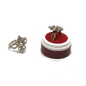 Rings Fancy
