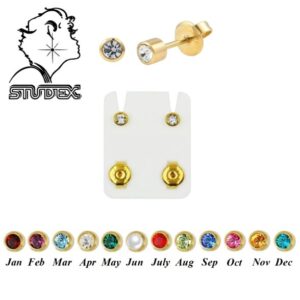 Steri Stud Earring