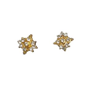 Gold Plated Earring Fancy