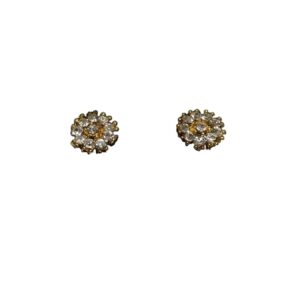 Earring Fancy
