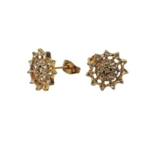Indian Earring Tg1153