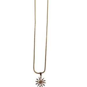 Fancy Pendant + Chain