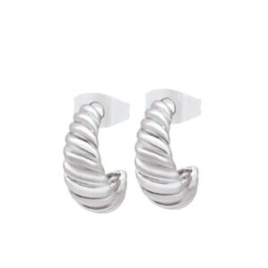 Silver Hoop Earring