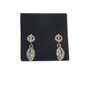 Silver Stone Drop Earring Ts2927