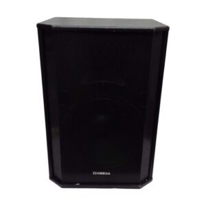 Omega 15 Inch Professional Speaker