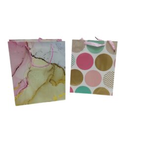 Medium Gift Bag Asst Colors