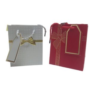 Patterned Gift Bag 12X15x7