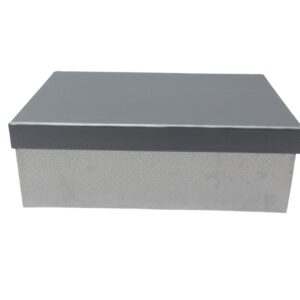 Gift Box #9 Silver Design