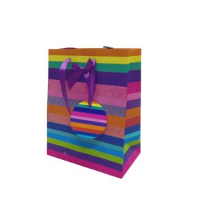 Gift Bag Paper Medium 18X23cm