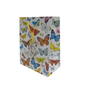 Gift Bag 18X23cm Everyday