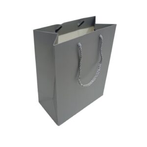 Paper Gift Bag 18X10x23cm