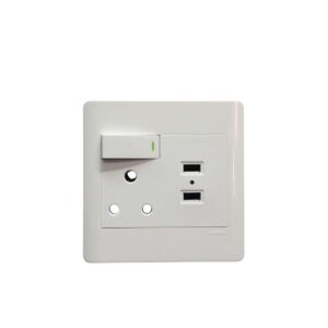 Ausma Single Switch Socket +2Usb