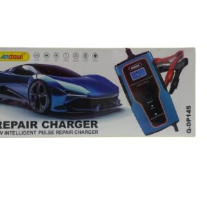 Andowl 12V Repair Charger
