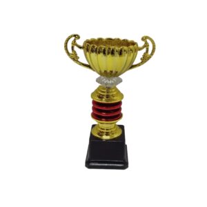 Gold Trophy 21Cm (Red Trim)