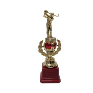 Golfers Trophy Gold 22Cm