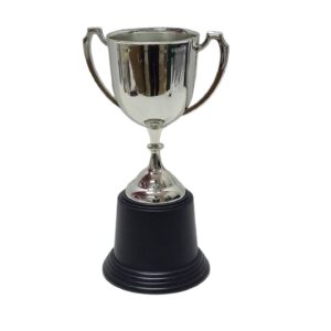 Trophy Silver 23X7cm