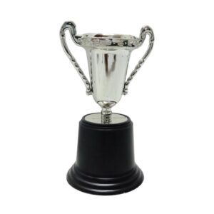 Trophy Silver 12X4.5Cm