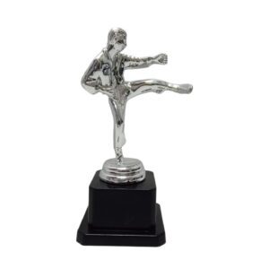 Trophy Karate Silver 15X8cm