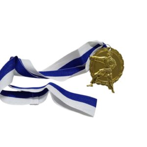 Wrestling/Karate Medal Gold 6Cm