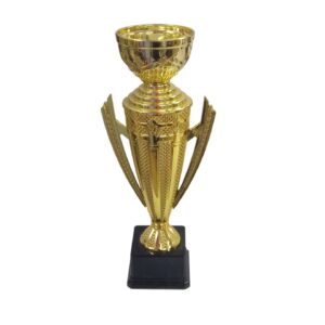 Trophy 36Cm