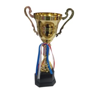 Trophy 38Cm