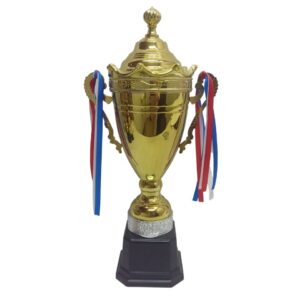 Trophy And Ribbon Gold Metal 49Cm