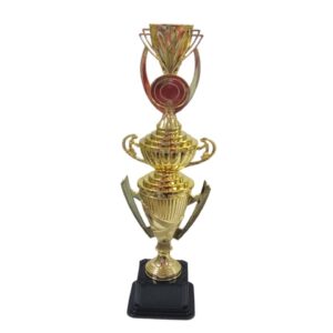 Trophy 49Cm