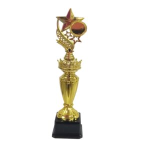 Trophy Gold Star Plastic 39Cm