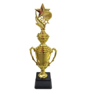 Trophy Gold Plastic 43Cm