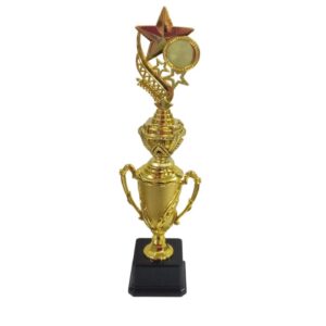 Trophy Gold Plastic 40Cm
