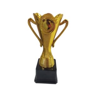 Trophy Cup Gold 25Cm