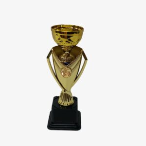 Plastic Trophy 26Cm