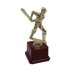 Trophy 18Cm