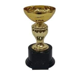 Trophy 19.5Cm Metal Cup
