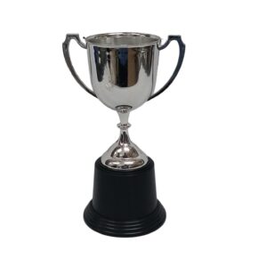 Trophy Silver 23Cm