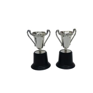 Trophy Silver 12X7.5Cm