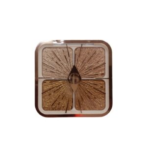 Color Fish Highlighter Palette 4 Colors