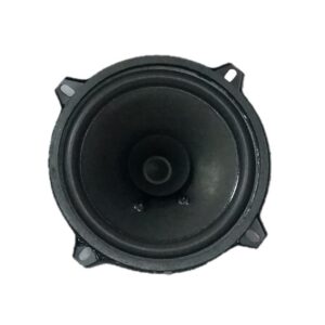 Blackspider Trade Speaker 5 Inch (45 Watts)