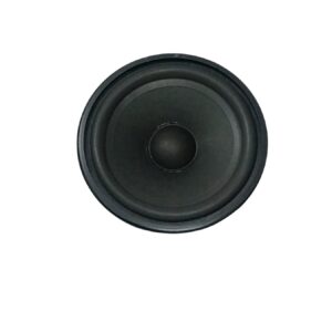 Blackspider 6 Inch Trade Speaker