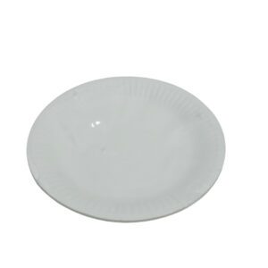 White Round Paper Plate 10Pc