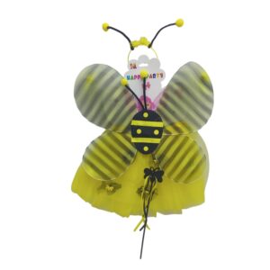 Lady Bug Tutu Skirt Set