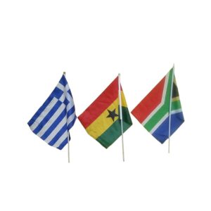 Flags Asst Med