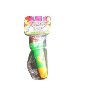 Microphone Echo Toy